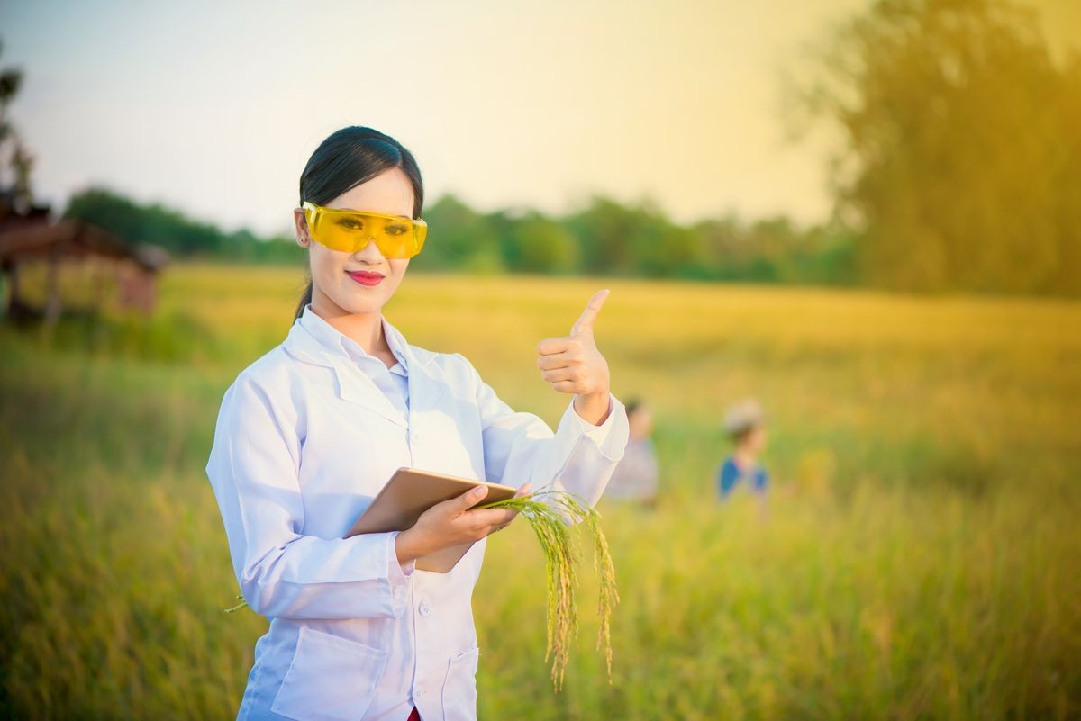 Women Scientists smile hold tablets and rice grains along with thumbs up. Field background, Science and Research concept.